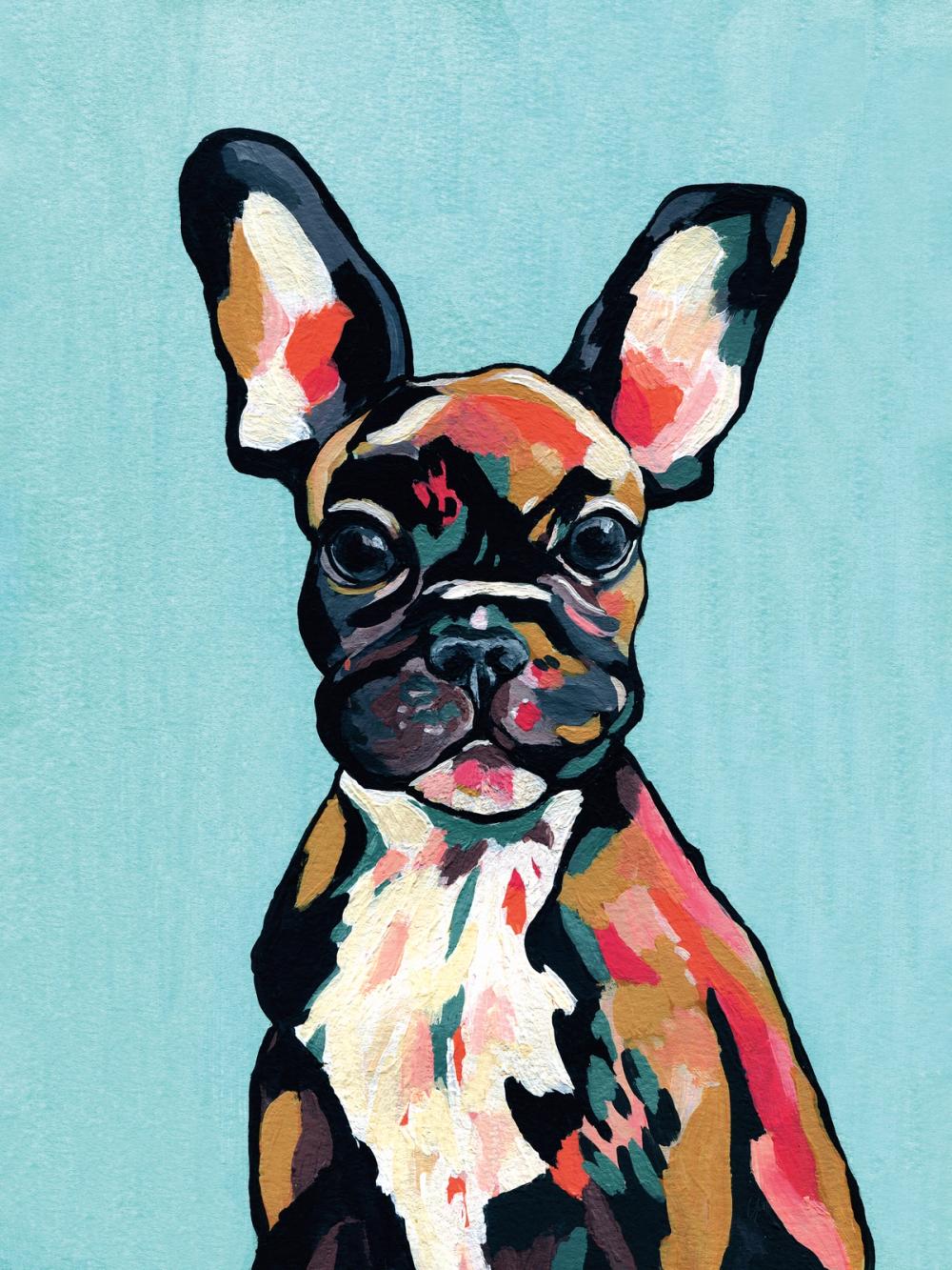 Stanley the French Bulldog