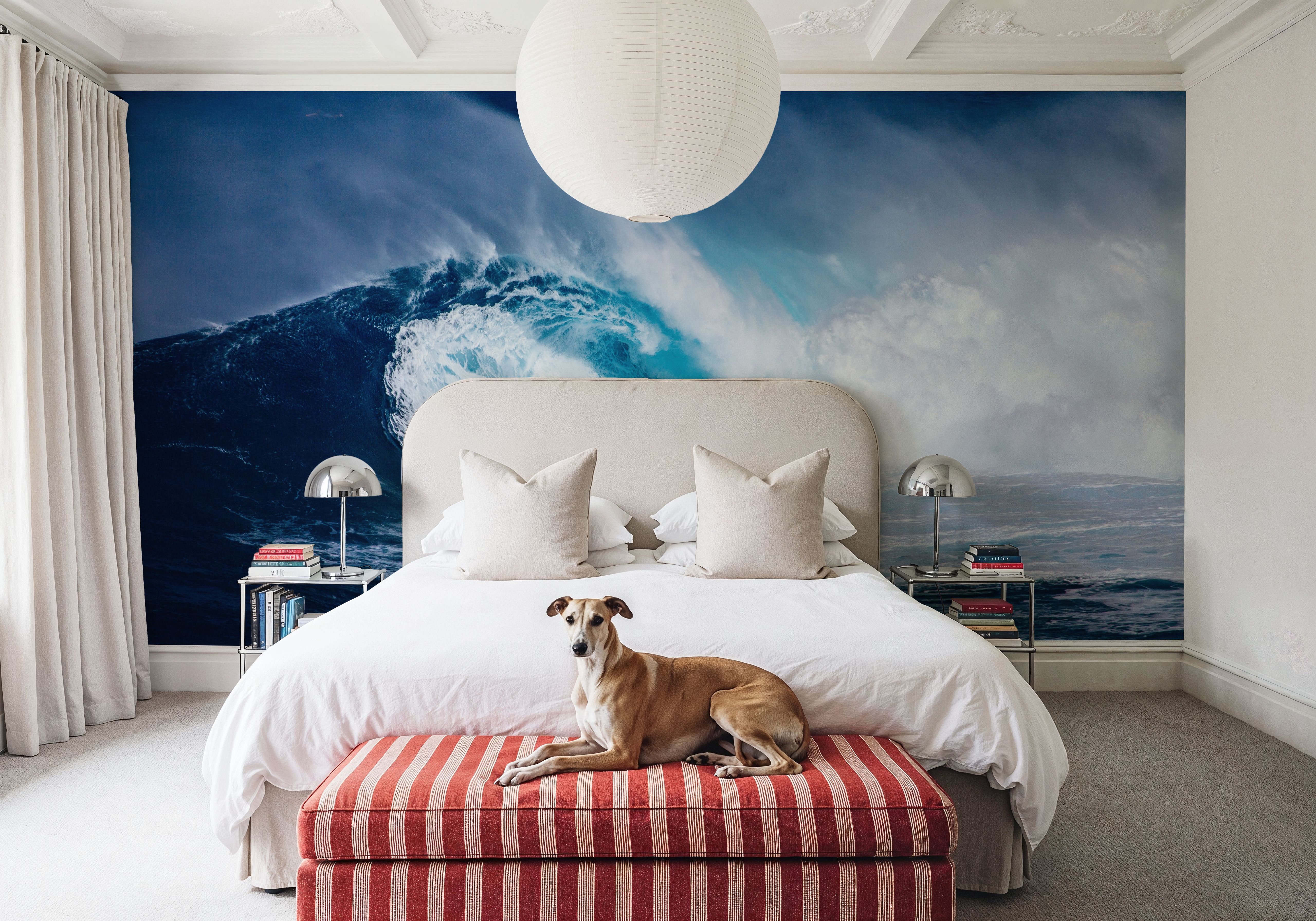 Big Wave Surfer