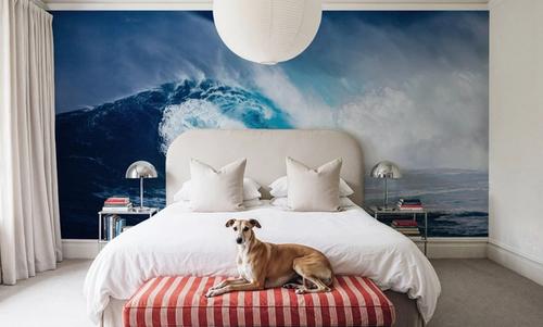 Big Wave Surfer