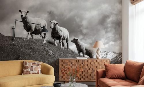 Wanaka Sheep IV