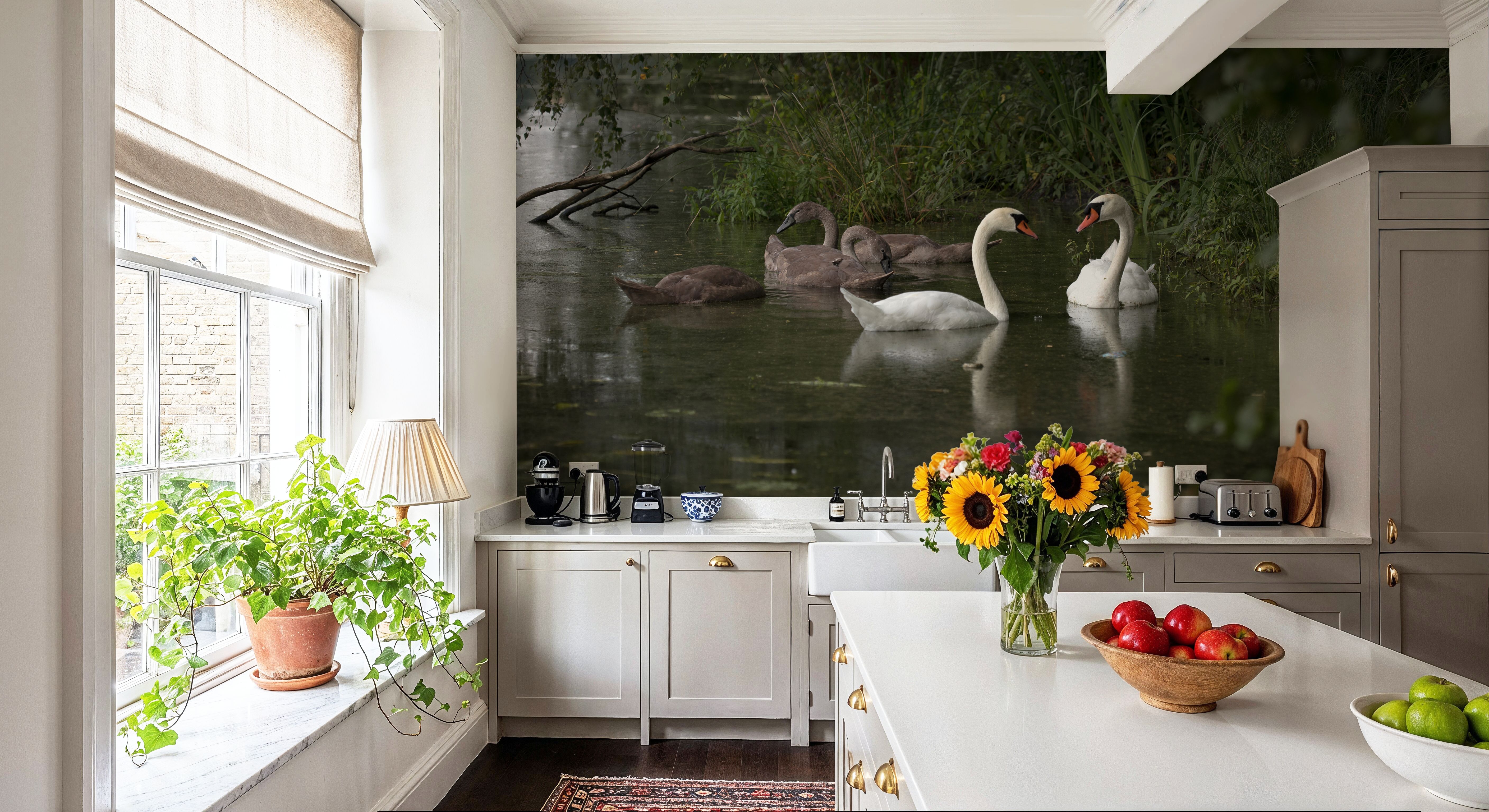 Swans Family