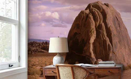 Desert Canyon Journey
