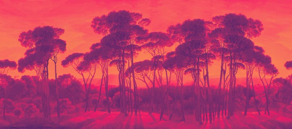 Mediterranean Pine Landscape, Sunset