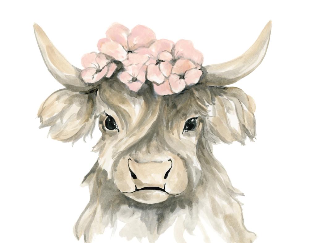 Spring Highland Cow