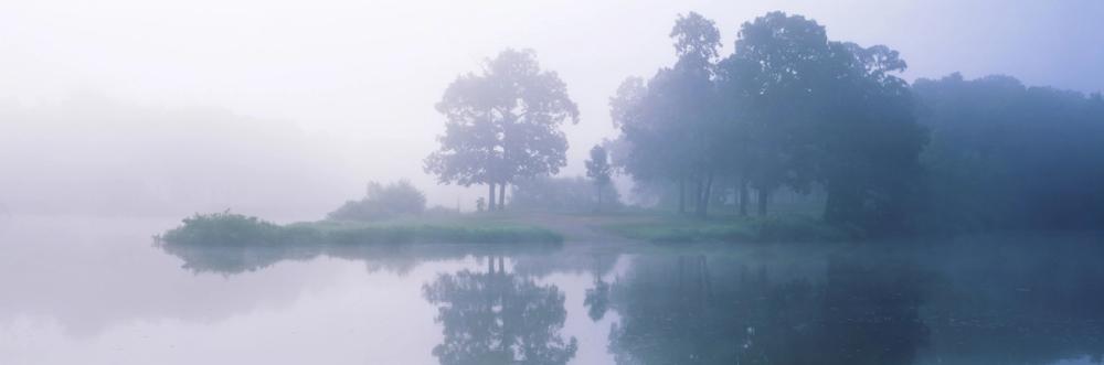 Kinmundy Reflections