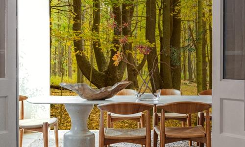 Letchworth Autumn