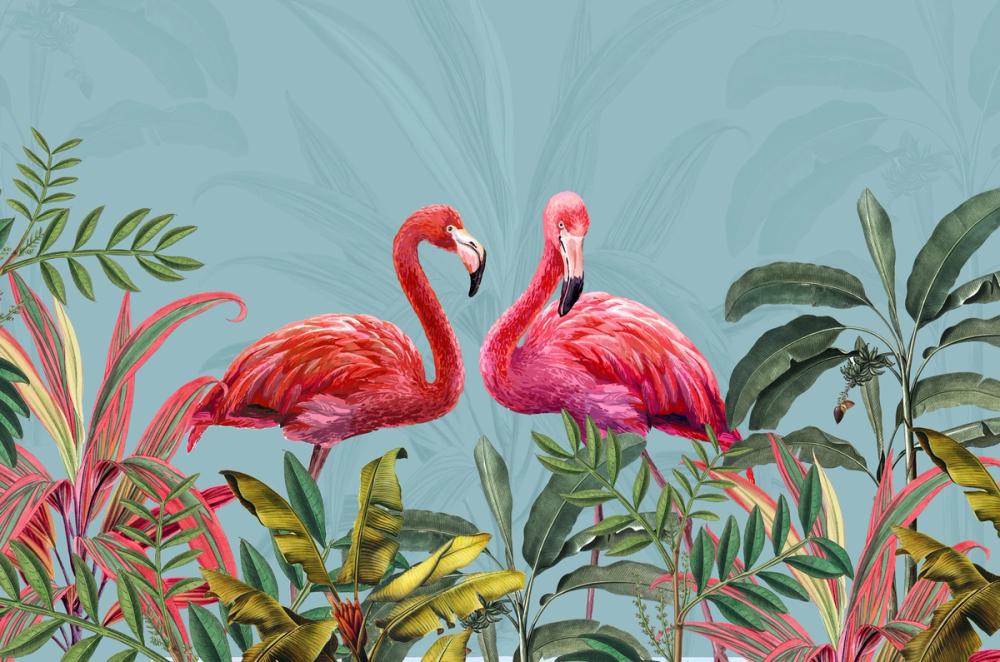 Shy Flamingos