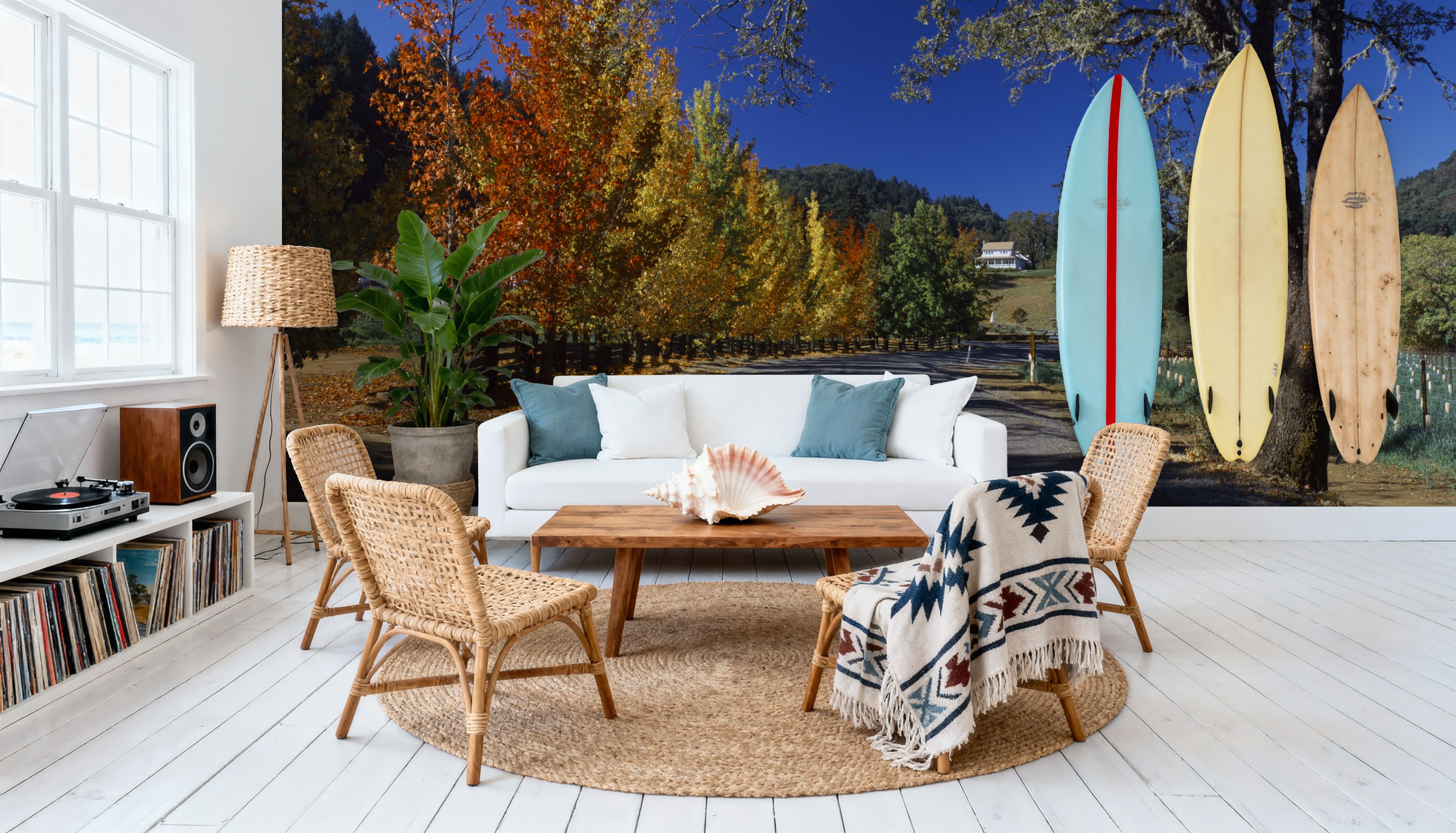 Autumn Vineyard Lane