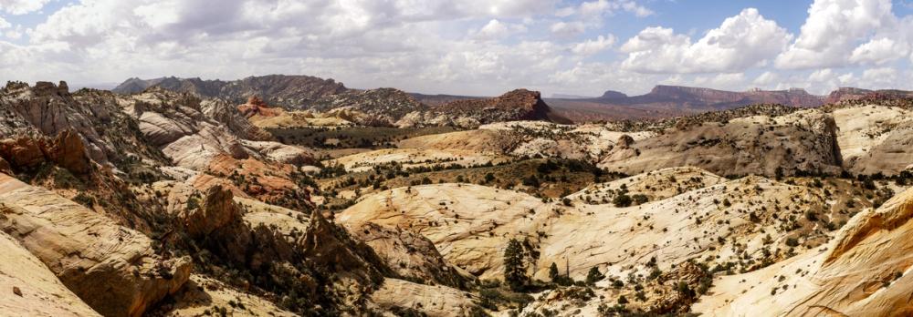 Desert Canyon Majesty