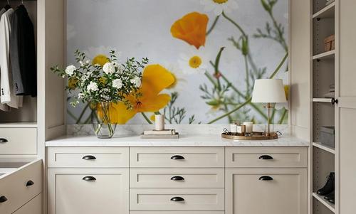 Daisies