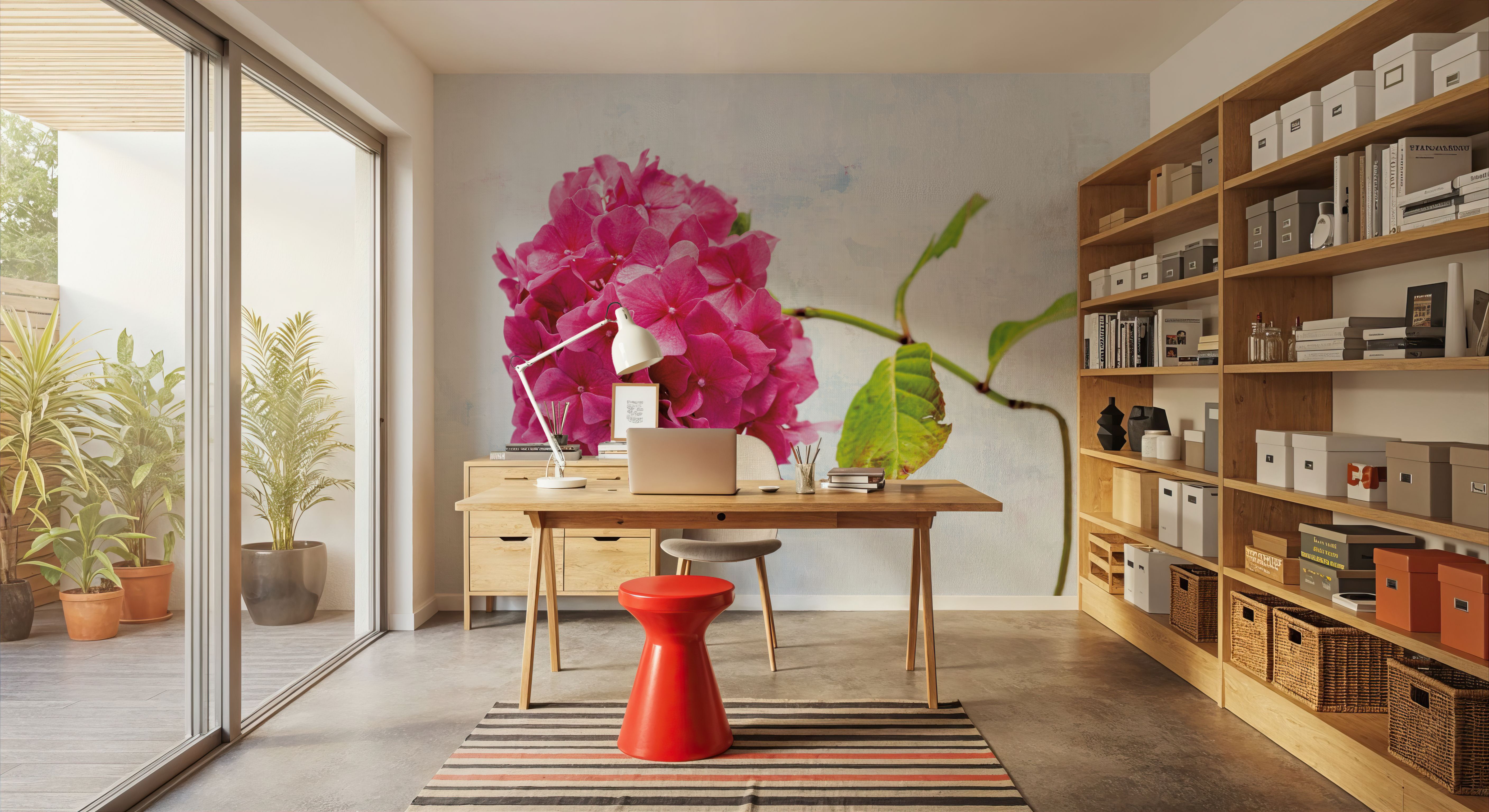 Bright Pink Hydrangea, Wallpaper