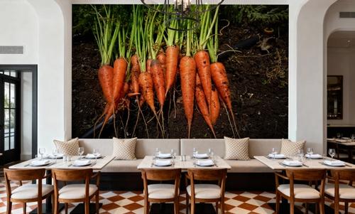 Harvest Carrot