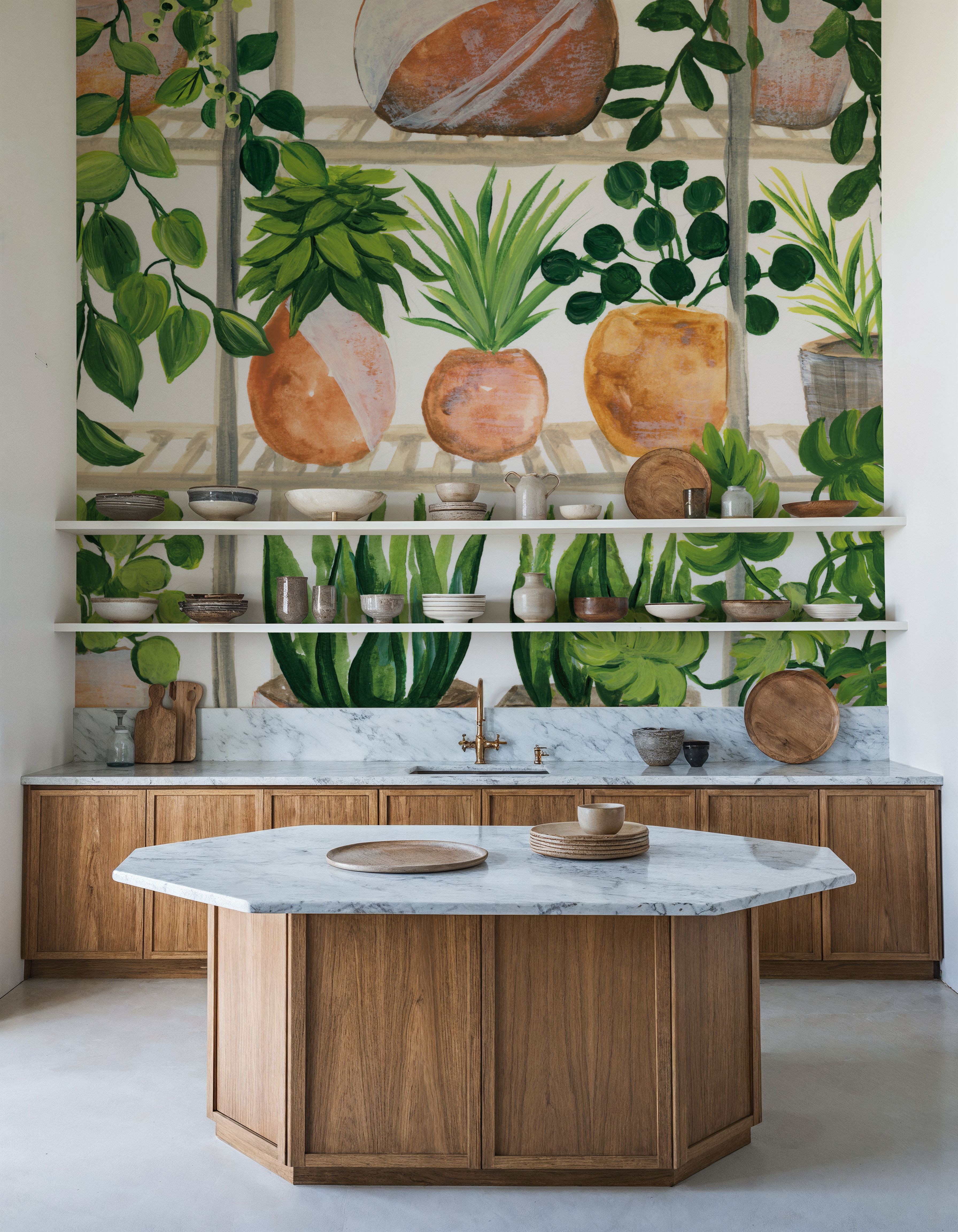 Plants of Shelf