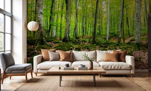 Intense Birch Wood