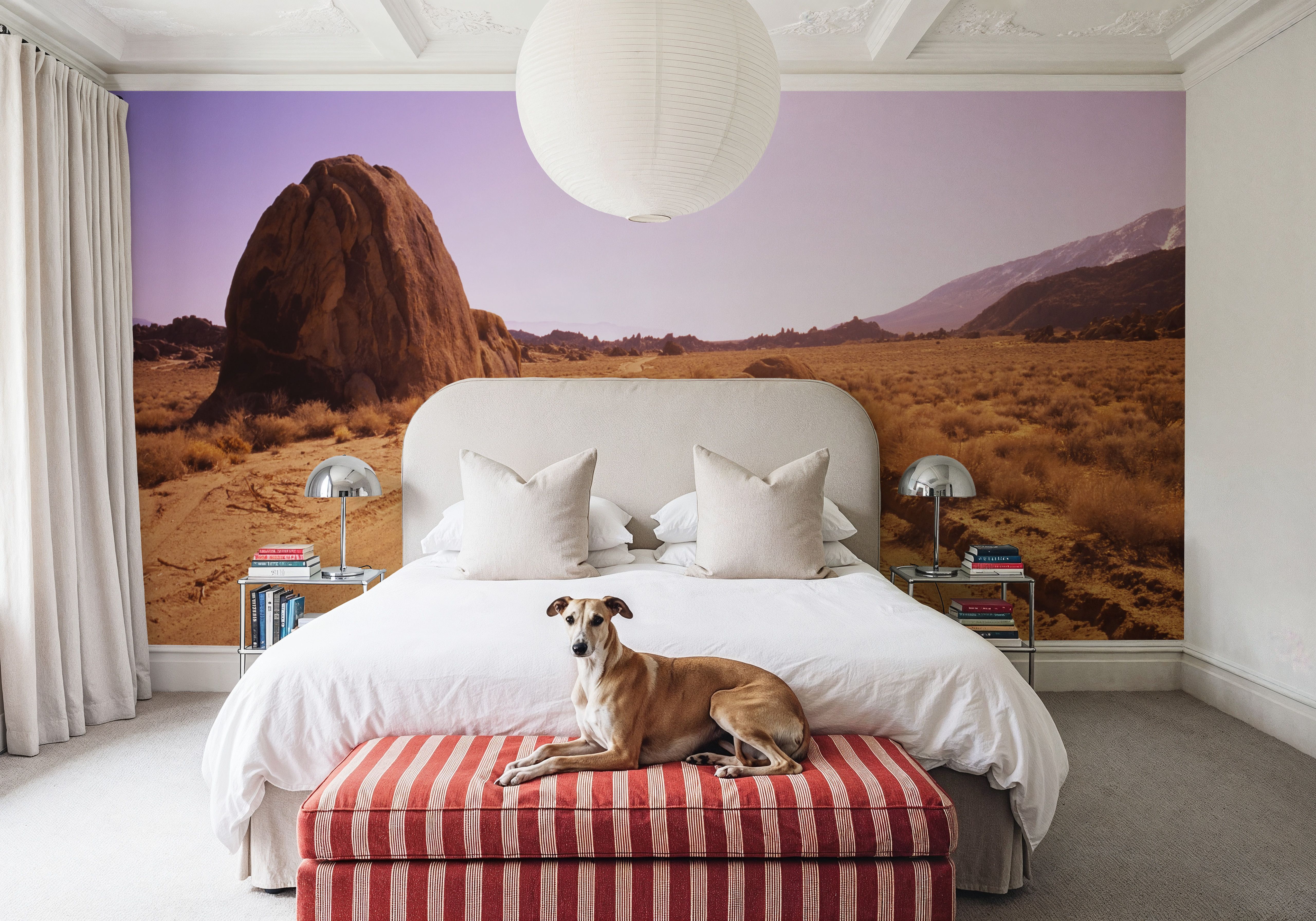 Desert Journey, Wallpaper