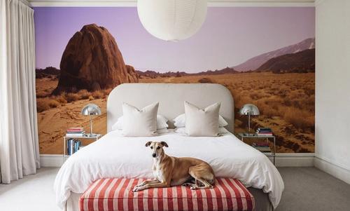 Desert Journey
