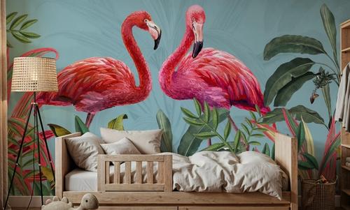 Shy Flamingos