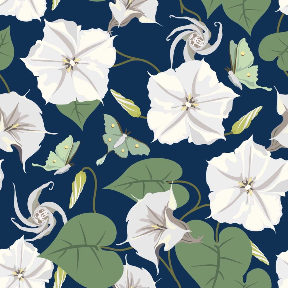 Moon Vine, Midnight Blue