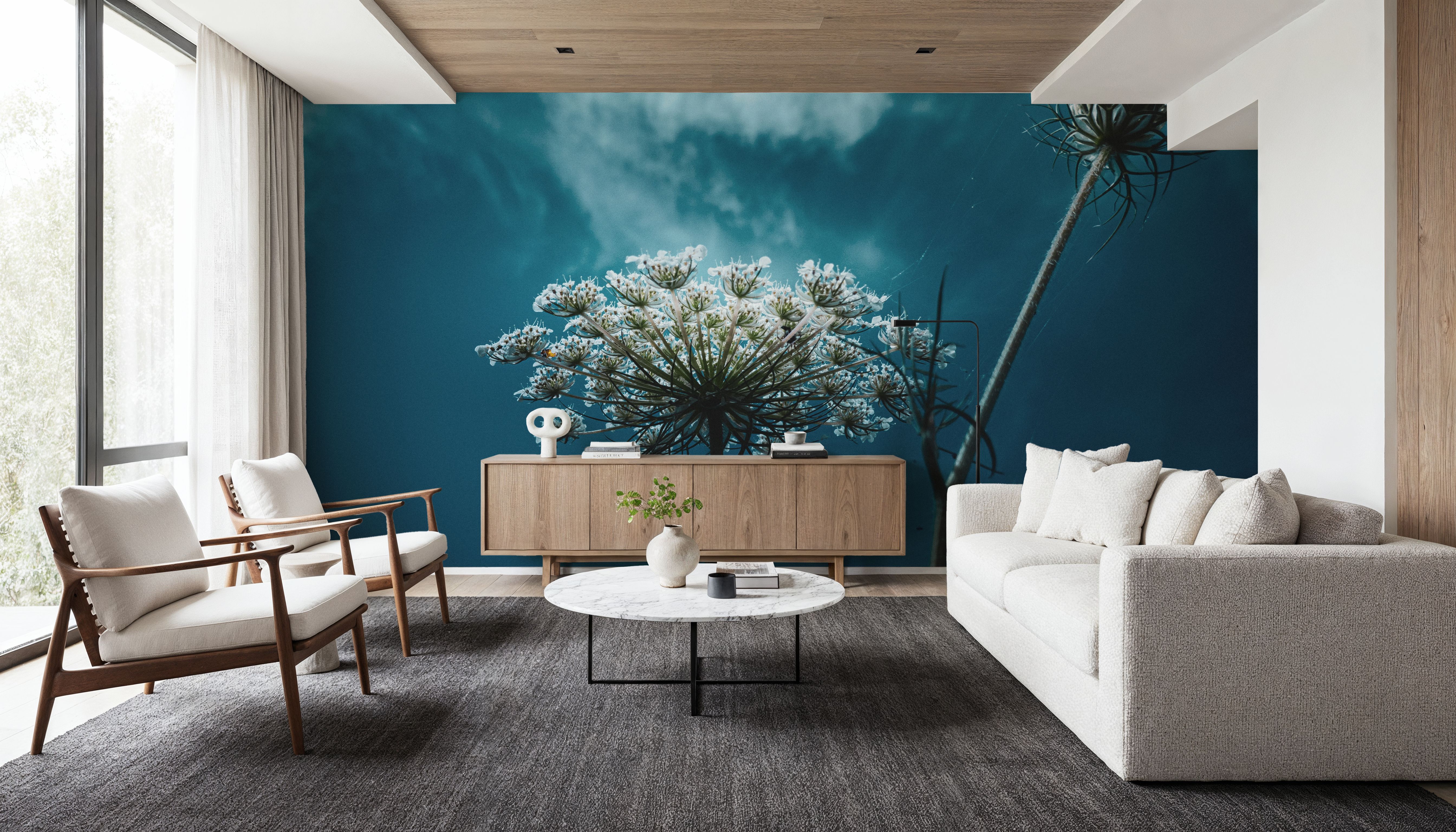 Wild Carrot, Wallpaper