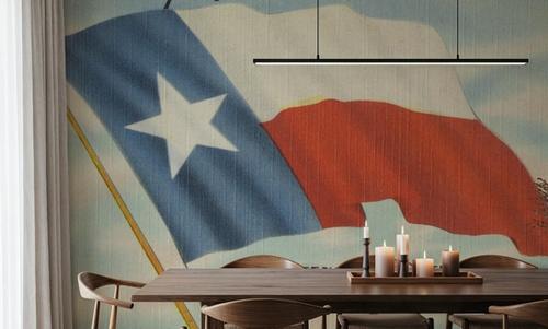 Greetings from the Lone Star State - Screenprint Postcard