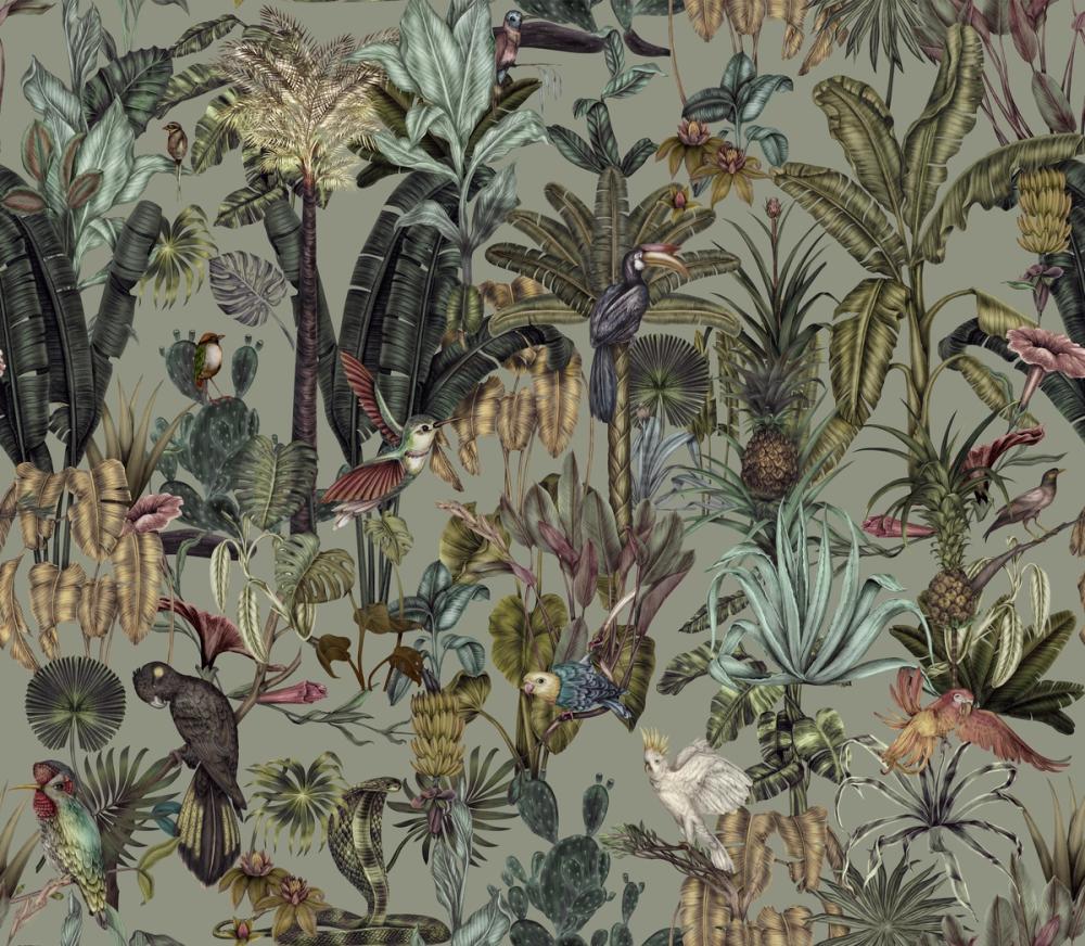 Tropical Wonderland, Laurel