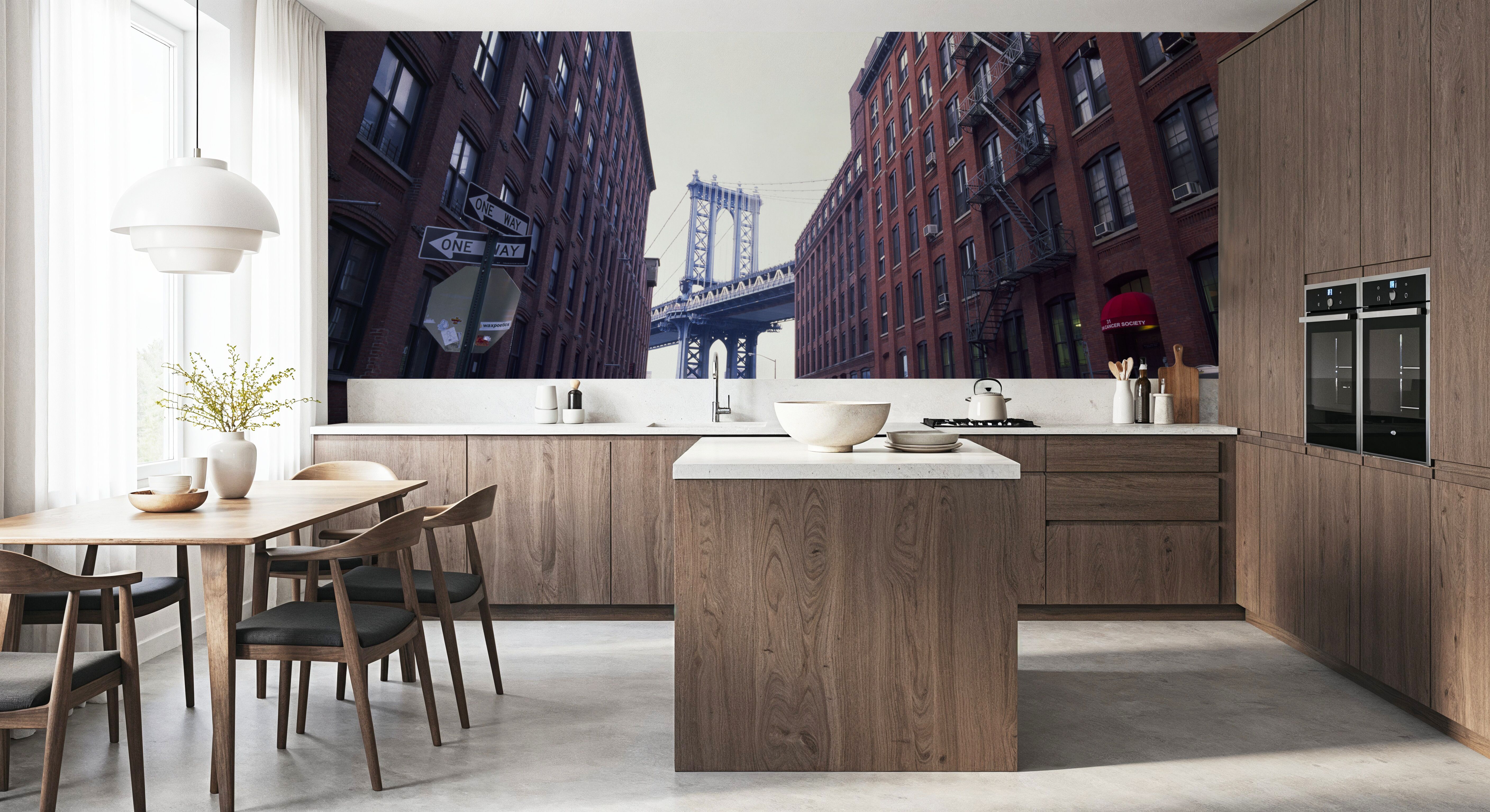 Brooklyn Bridge View