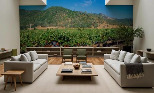Vineyard Splendor