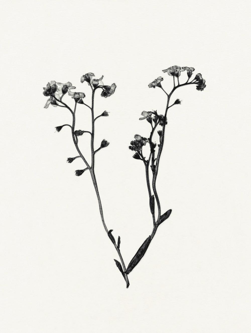 Field Journal Entry I