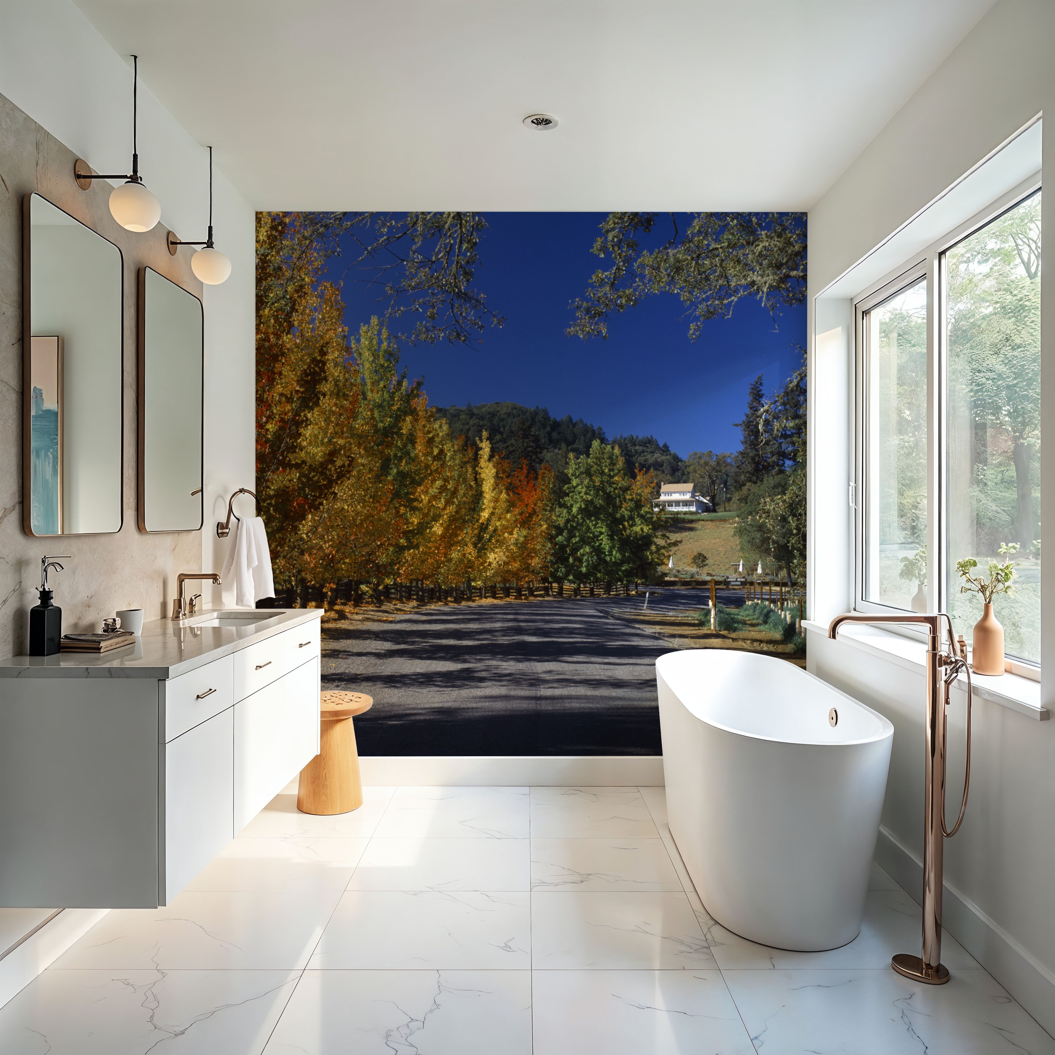 Autumn Vineyard Lane