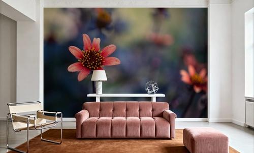 Peach Dahlias