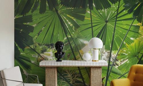 Tropical Fan Fronds