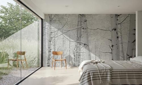 Winter Birch Serenity