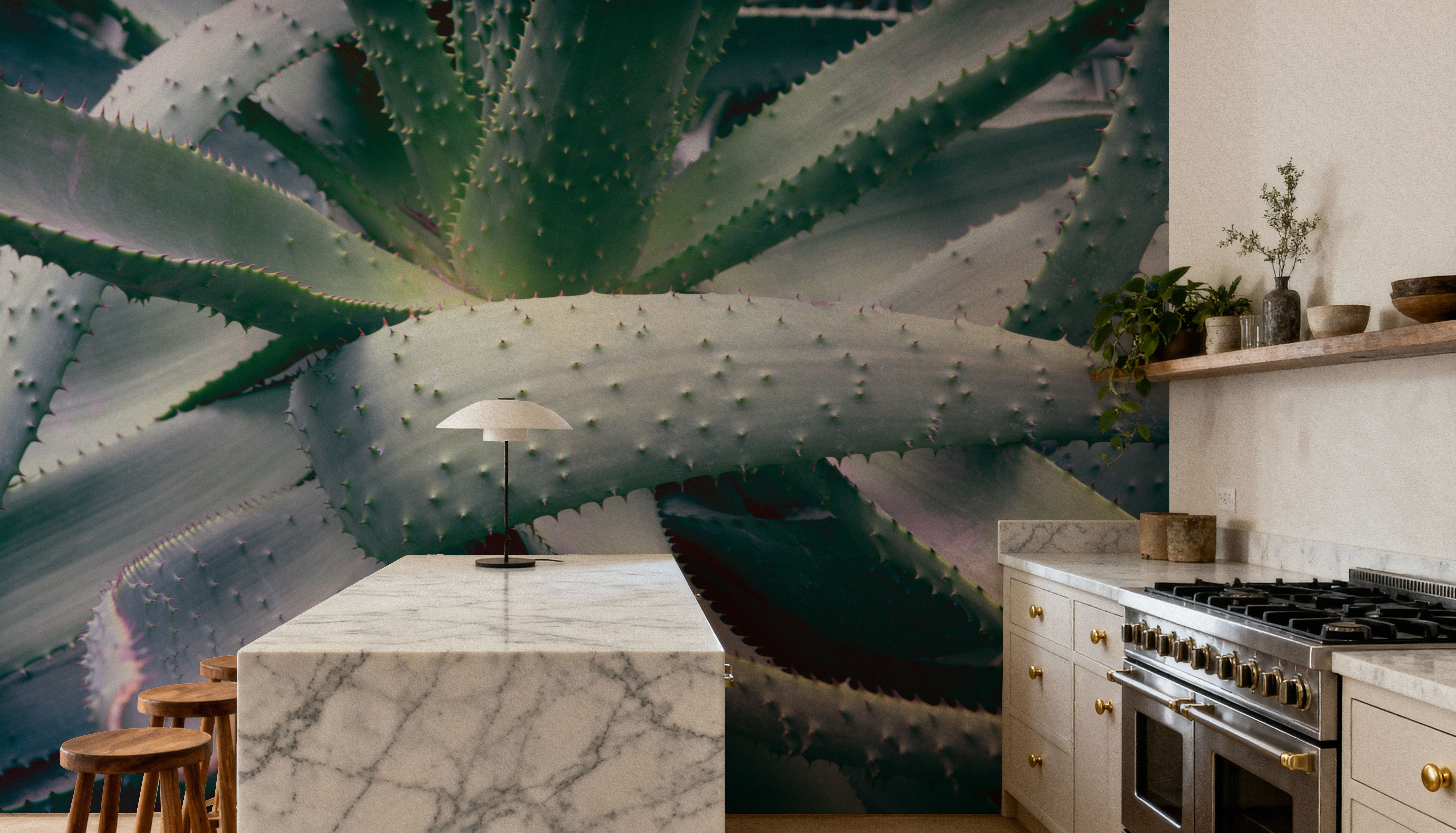 Succulent I, Wallpaper