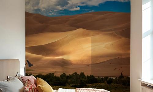 Sunlit Dune