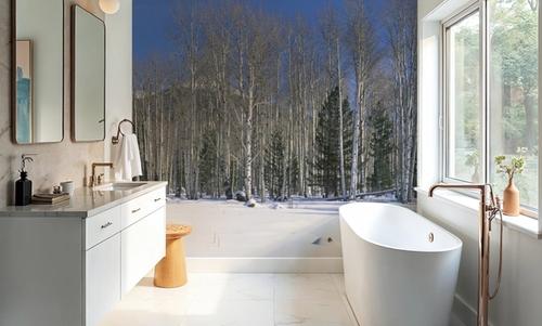Aspen Winter Grove