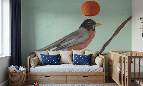 Robin