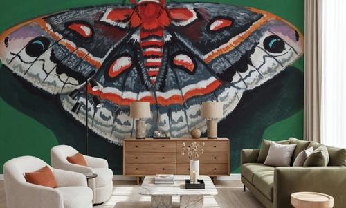 Cecropia Moth
