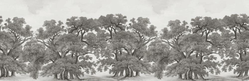Oak Haven, Charcoal