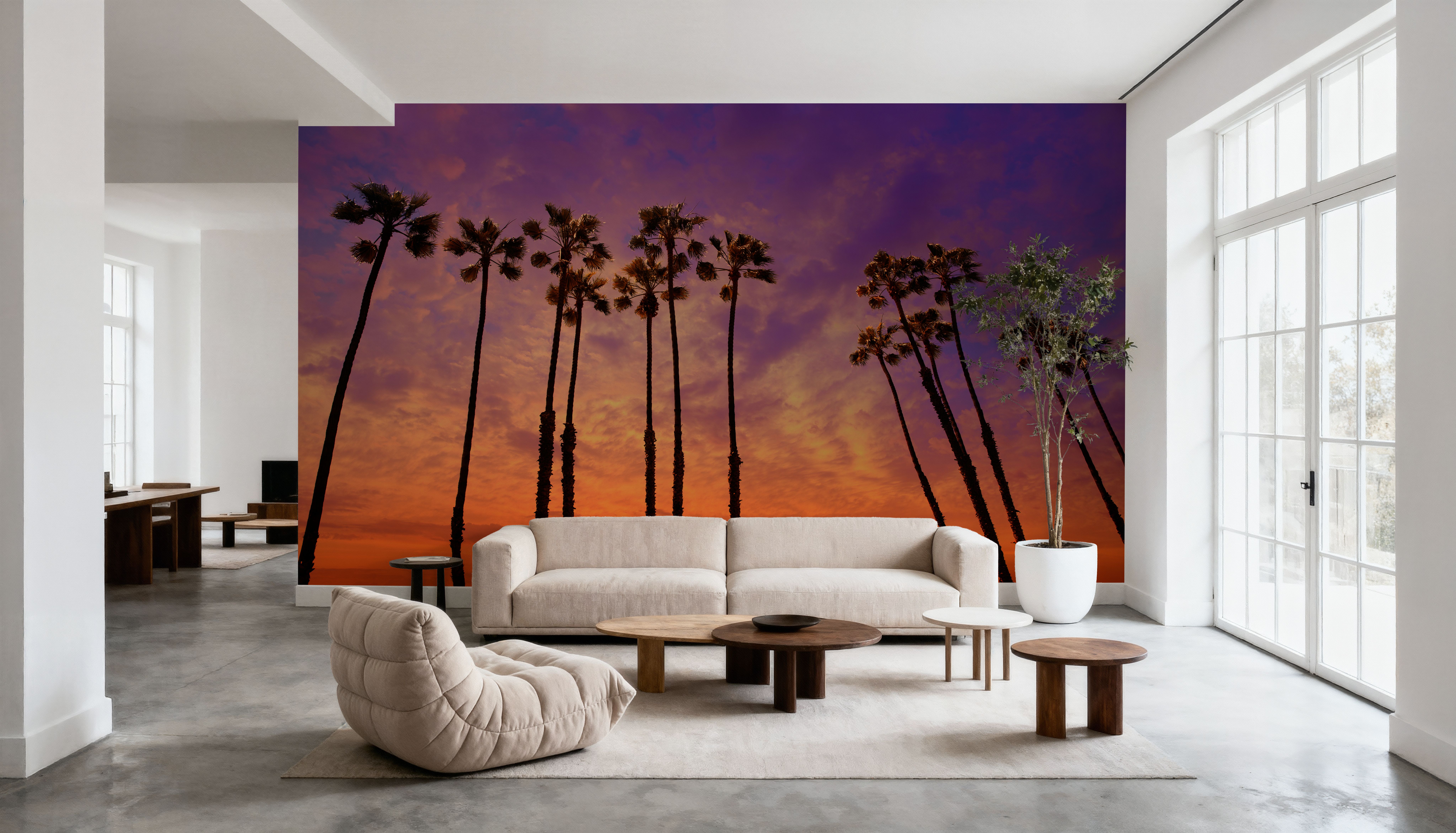 Biskra Palms