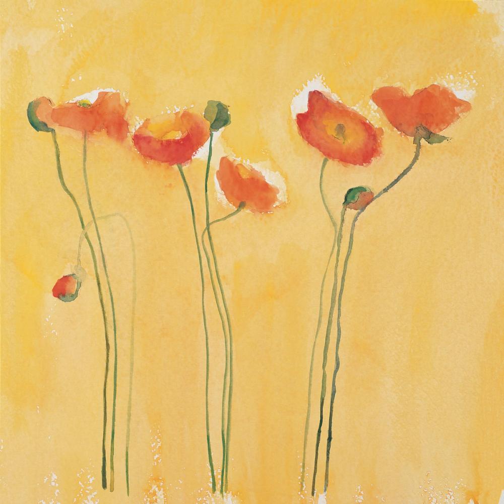 Cadmium Orange Poppies