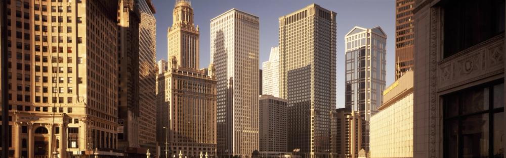 Golden Metropolis Up Close