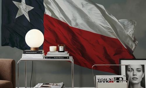 Texas Waves