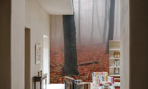 Red Autumn Leaves