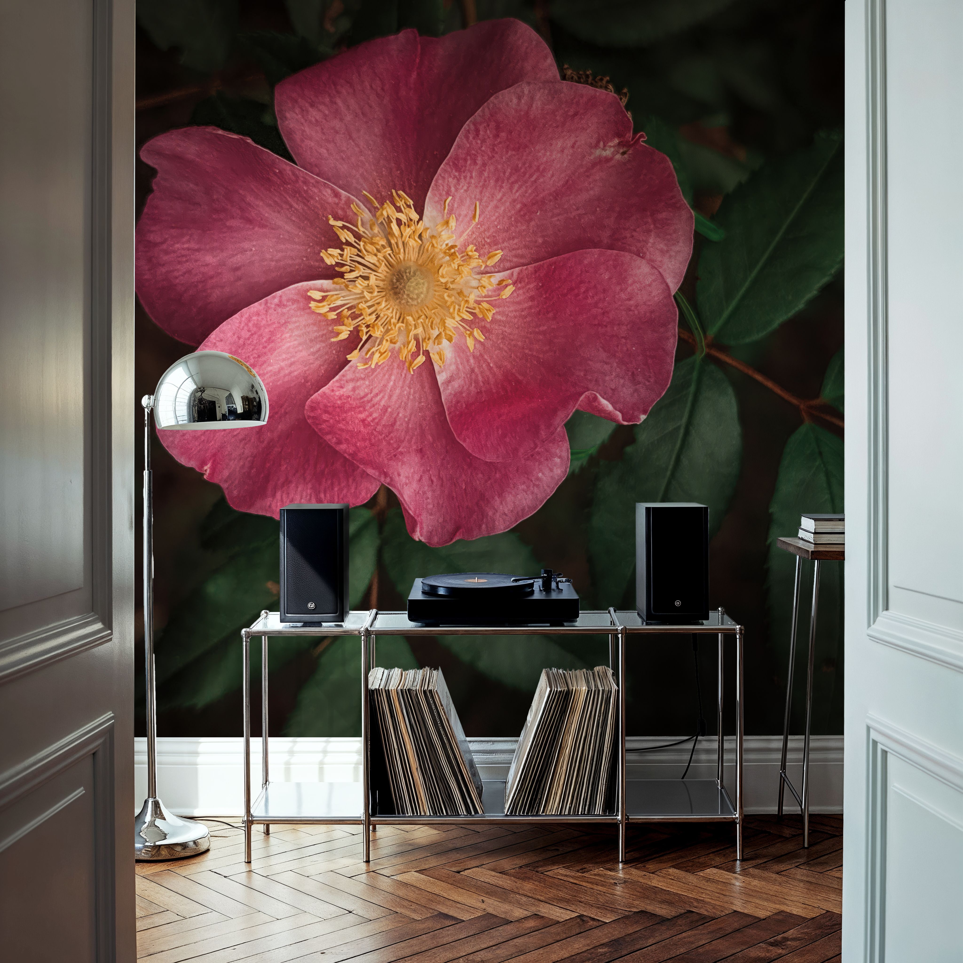 Wild Rose I