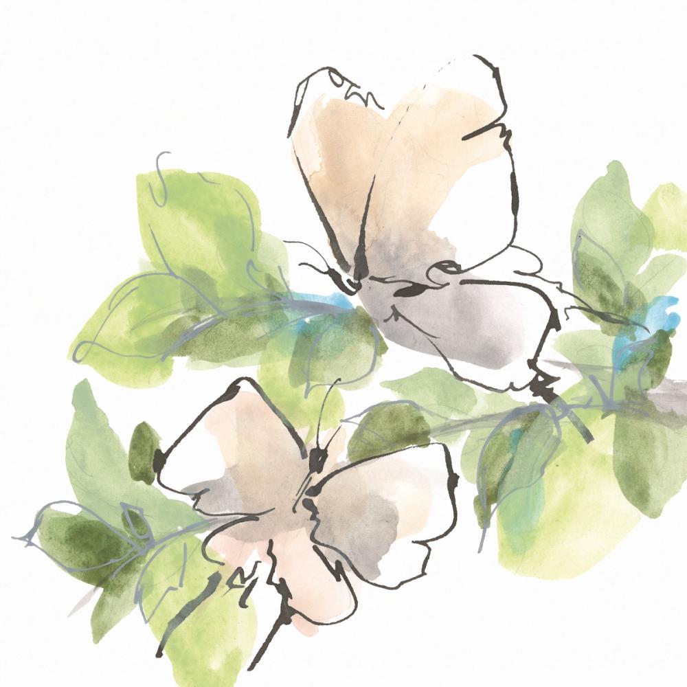 Social Butterflies II