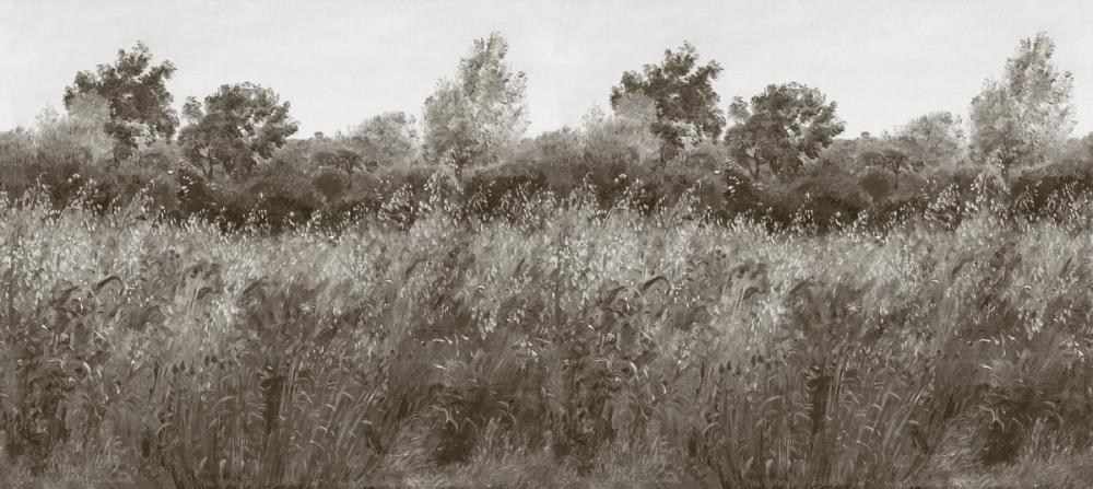 Meadow Whisper, Earth