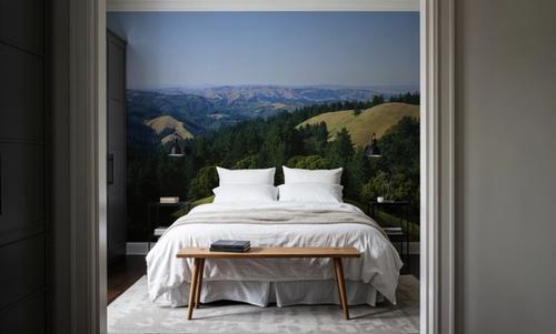 Emerald Hillside Vista