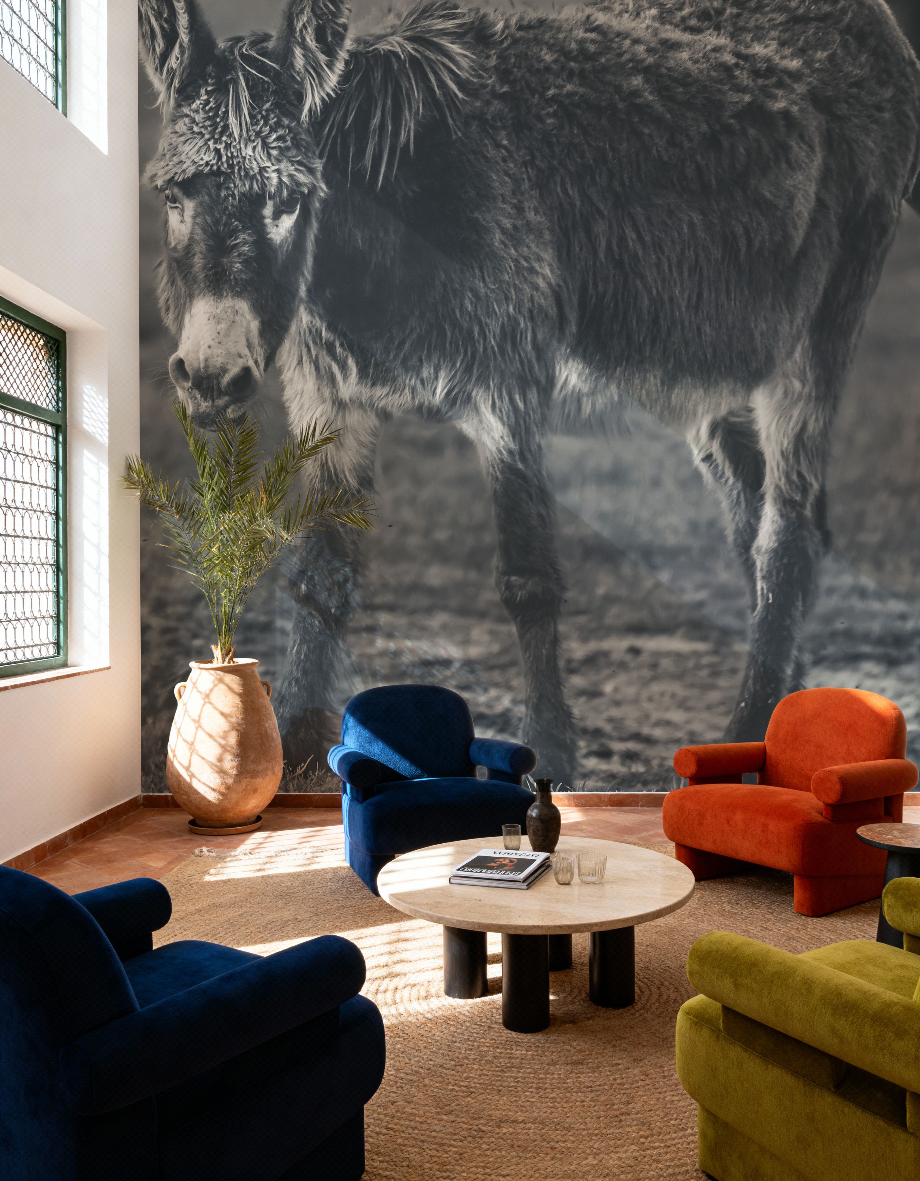 Donkey Summer III BW