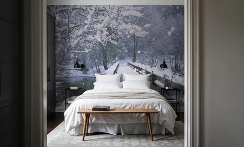 Winter Bridge Serenity