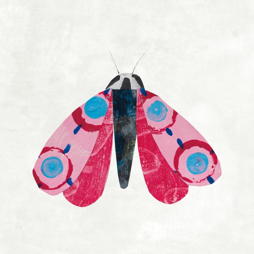 Collage Insects I